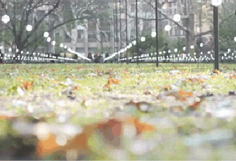 晶能光電點(diǎn)亮美國紐約麥迪森公園的夢(mèng)幻和浪漫